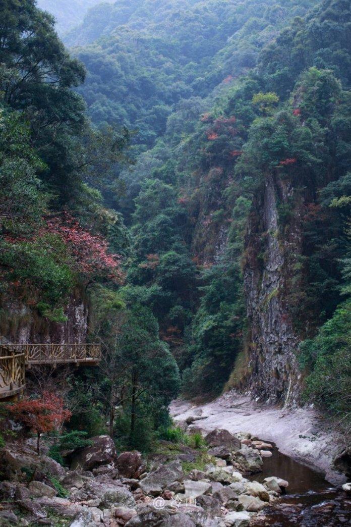 救援小巨鳄